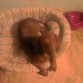 YO EN MI CAMA